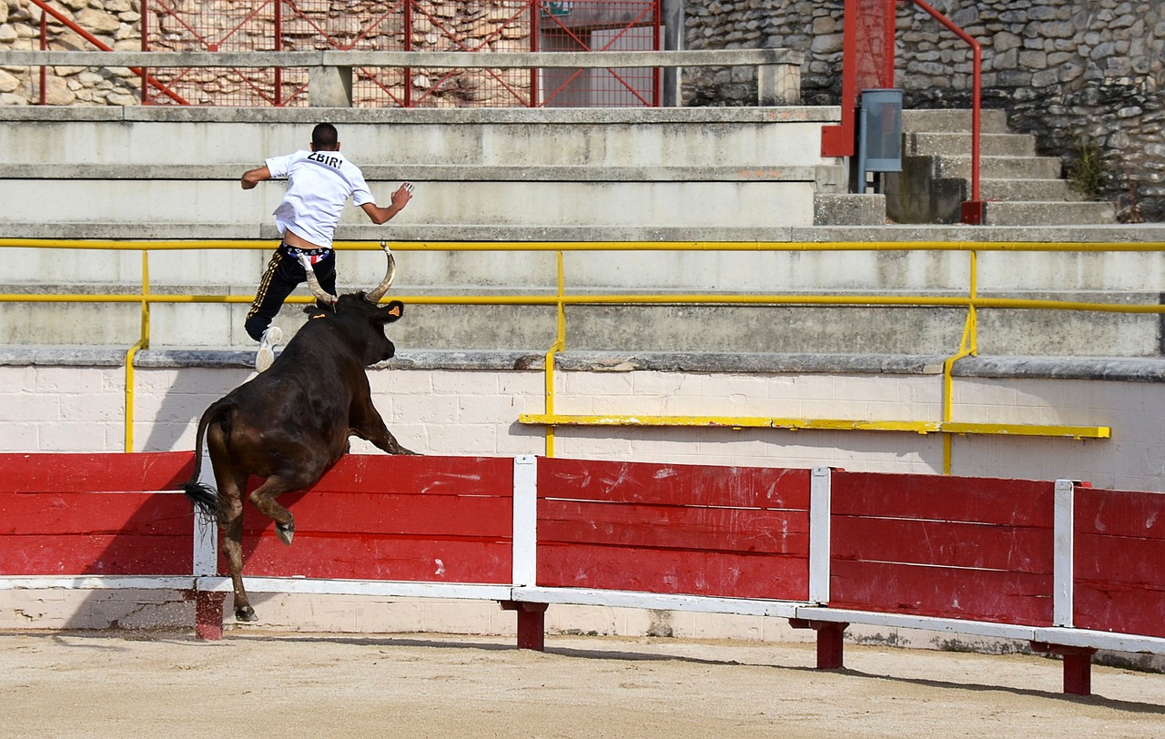 观赛体验也